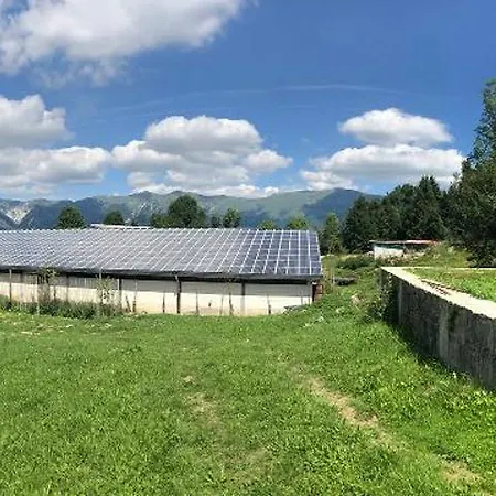 Bed & Breakfast Rest And Ride Robidisce